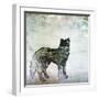 Wildlife on Site II-Nicholas Biscardi-Framed Art Print