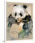 Wildlife Panda-Joadoor-Framed Premium Giclee Print