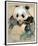 Wildlife Panda-Joadoor-Framed Premium Giclee Print