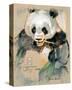 Wildlife Panda-Joadoor-Stretched Canvas