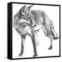 Wildlife Snapshot: Fox-Naomi McCavitt-Framed Stretched Canvas