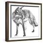 Wildlife Snapshot: Fox-Naomi McCavitt-Framed Art Print