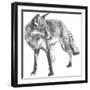 Wildlife Snapshot: Fox-Naomi McCavitt-Framed Art Print