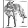 Wildlife Snapshot: Fox-Naomi McCavitt-Mounted Art Print