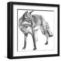 Wildlife Snapshot: Fox-Naomi McCavitt-Framed Art Print