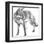 Wildlife Snapshot: Fox-Naomi McCavitt-Framed Art Print