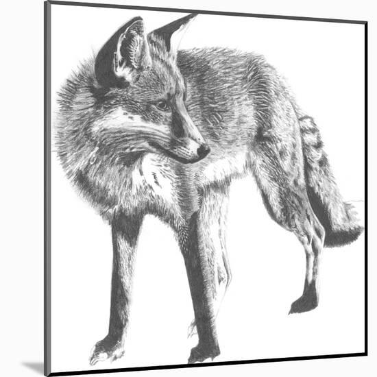 Wildlife Snapshot: Fox-Naomi McCavitt-Mounted Art Print