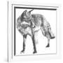 Wildlife Snapshot: Fox-Naomi McCavitt-Framed Art Print