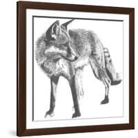 Wildlife Snapshot: Fox-Naomi McCavitt-Framed Art Print