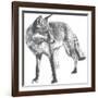 Wildlife Snapshot: Fox-Naomi McCavitt-Framed Art Print