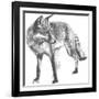 Wildlife Snapshot: Fox-Naomi McCavitt-Framed Art Print