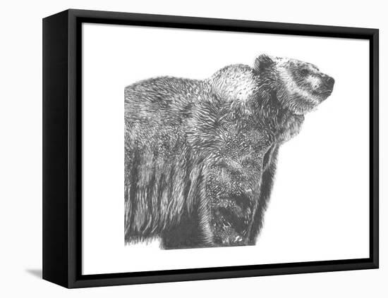 Wildlife Snapshot: Grizzly-Naomi McCavitt-Framed Stretched Canvas