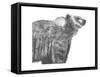 Wildlife Snapshot: Grizzly-Naomi McCavitt-Framed Stretched Canvas