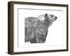 Wildlife Snapshot: Grizzly-Naomi McCavitt-Framed Art Print