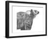 Wildlife Snapshot: Grizzly-Naomi McCavitt-Framed Art Print