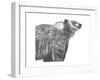 Wildlife Snapshot: Grizzly-Naomi McCavitt-Framed Art Print