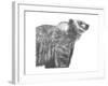 Wildlife Snapshot: Grizzly-Naomi McCavitt-Framed Art Print