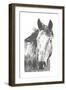 Wildlife Snapshot: Horse I-Naomi McCavitt-Framed Art Print