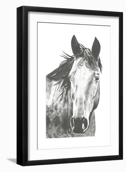 Wildlife Snapshot: Horse I-Naomi McCavitt-Framed Art Print