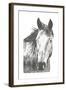 Wildlife Snapshot: Horse I-Naomi McCavitt-Framed Art Print