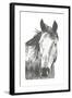 Wildlife Snapshot: Horse I-Naomi McCavitt-Framed Art Print