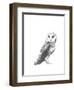 Wildlife Snapshot: Owl-Naomi McCavitt-Framed Art Print