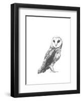 Wildlife Snapshot: Owl-Naomi McCavitt-Framed Art Print