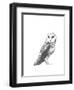 Wildlife Snapshot: Owl-Naomi McCavitt-Framed Art Print