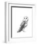 Wildlife Snapshot: Owl-Naomi McCavitt-Framed Art Print