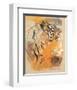 Wildlife Tiger-Joadoor-Framed Art Print