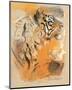 Wildlife Tiger-Joadoor-Mounted Art Print