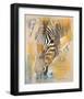 Wildlife Zebra-Joadoor-Framed Art Print