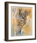 Wildlife Zebra-Joadoor-Framed Art Print