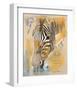 Wildlife Zebra-Joadoor-Framed Art Print