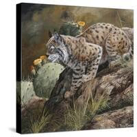 Wildlife-Wildlife Wildlife-Stretched Canvas