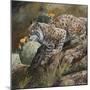 Wildlife-Wildlife Wildlife-Mounted Premium Giclee Print