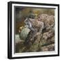 Wildlife-Wildlife Wildlife-Framed Giclee Print