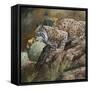 Wildlife-Wildlife Wildlife-Framed Stretched Canvas