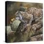 Wildlife-Wildlife Wildlife-Stretched Canvas