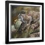 Wildlife-Wildlife Wildlife-Framed Giclee Print