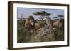 Wildlife-Trevor V. Swanson-Framed Premium Giclee Print