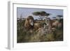 Wildlife-Trevor V. Swanson-Framed Premium Giclee Print