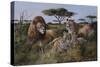 Wildlife-Trevor V. Swanson-Stretched Canvas