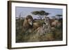 Wildlife-Trevor V. Swanson-Framed Giclee Print