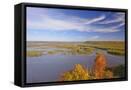 Canvas Black