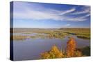 Stretched Canvas