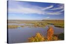Stretched Canvas