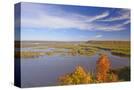 Stretched Canvas