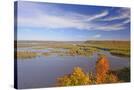 Stretched Canvas
