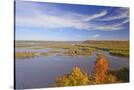 Stretched Canvas